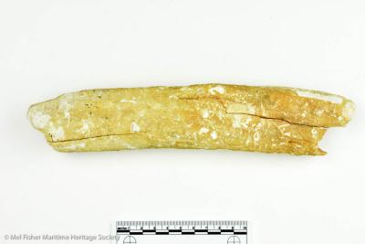 Bone
