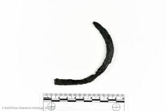 Shackle Loop