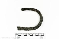 Shackle Loop