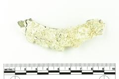 Tankard Lid Fragment