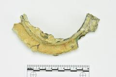 Tankard Lid Fragment