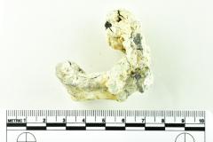 Tankard Lid Fragment