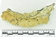 Tankard Lid Fragment