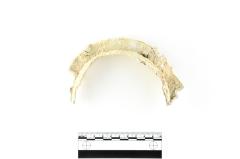 Tankard Lid Fragment