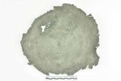 Basin Fragment