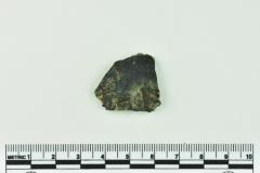 Onion Bottle Fragment