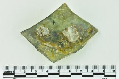 Onion Bottle Fragment
