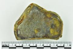 Onion Bottle Fragment