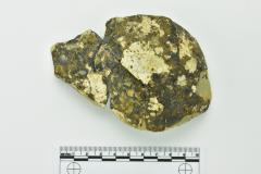 Onion Bottle Fragments