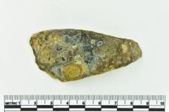 Onion Bottle Fragment