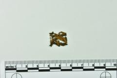 Leather Fragment