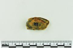 Onion Bottle Fragments