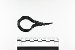 Shackle Loop