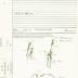 State Artifact Processing Records