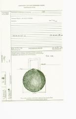 State Artifact Processing Record