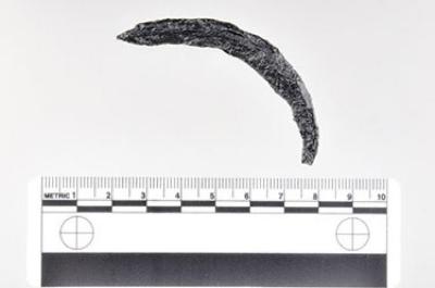 Shackle Loop Fragment