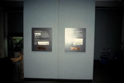 35mm Color Slide