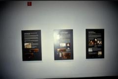 35mm Color Slide