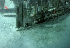 35mm Color Slide